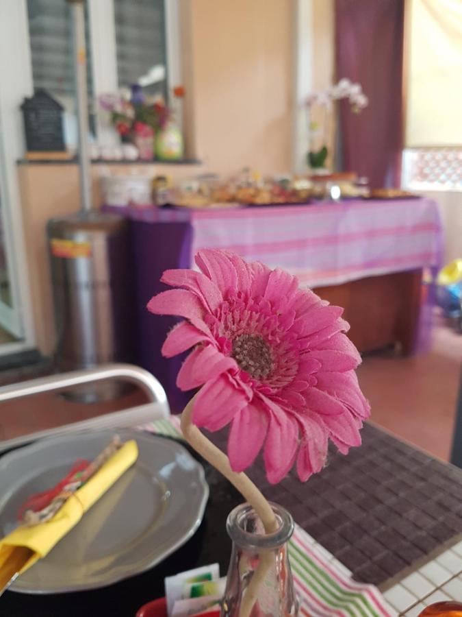 Ghiro Ghiotto Bed & Breakfast Pietra Ligure Bagian luar foto