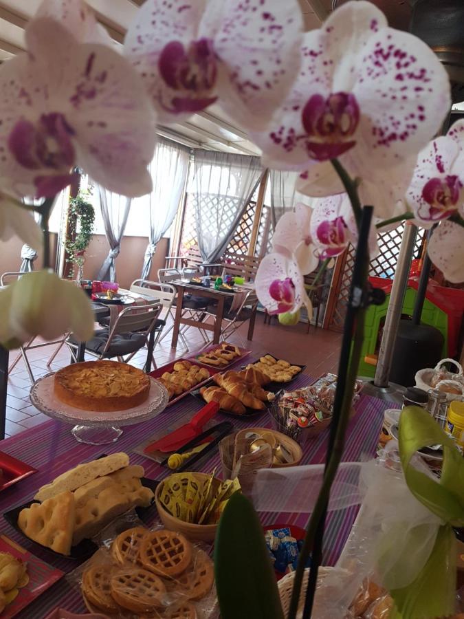 Ghiro Ghiotto Bed & Breakfast Pietra Ligure Bagian luar foto